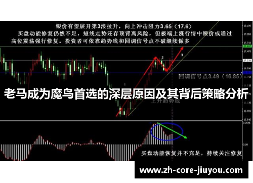 老马成为魔鸟首选的深层原因及其背后策略分析