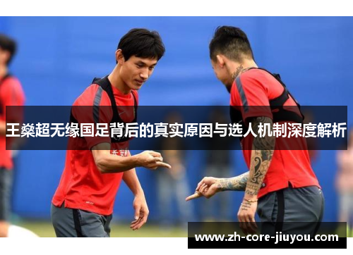 王燊超无缘国足背后的真实原因与选人机制深度解析